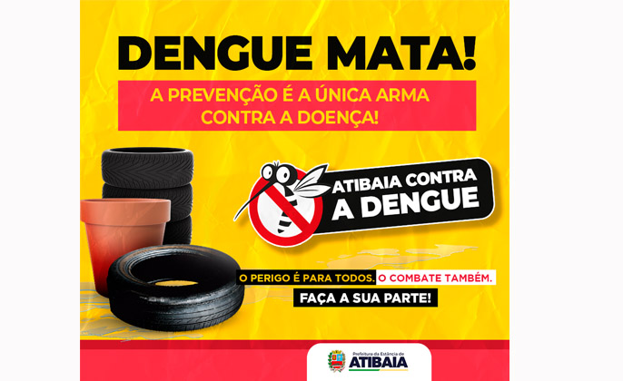 Dengue2