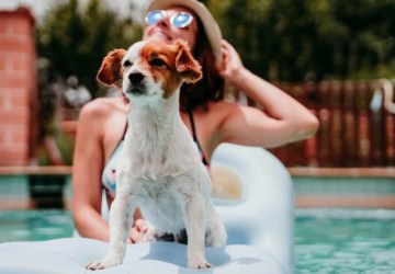 Cuidado com os pets no verão proporciona bem-estar. Veja dicas